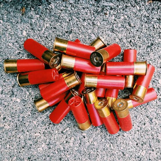 12 Gauge Shells