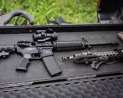 AR-15 Sport II