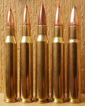 .30-06 Springfield