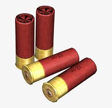 12 Gauge